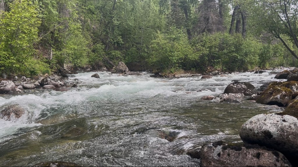 Little Susitna River