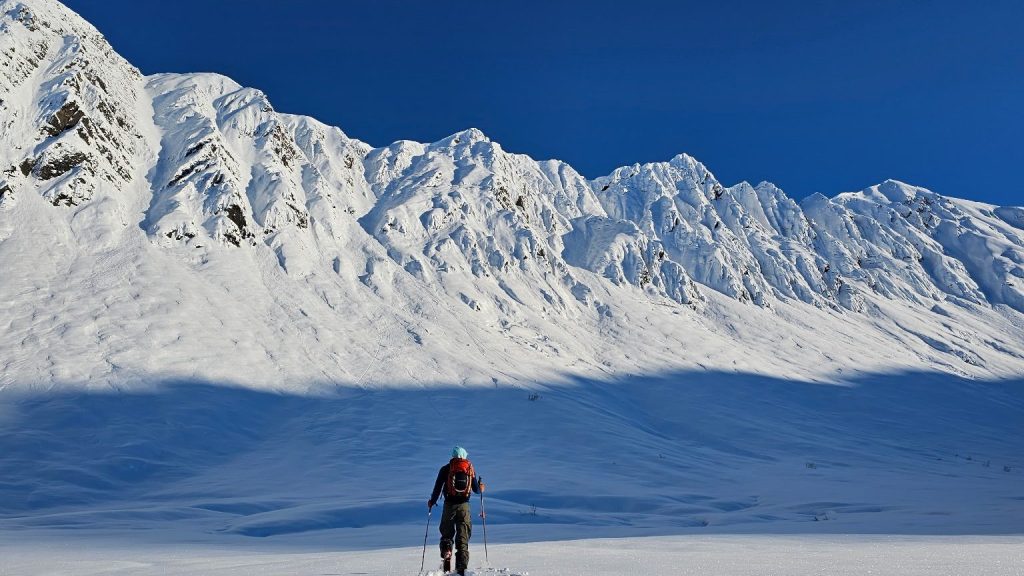 Tincan Proper and the Library